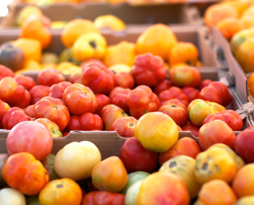 farmers-market-tomatoes